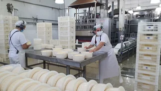 Dueña de dulce de leche premium frena producción en planta clave y complica a un pueblo