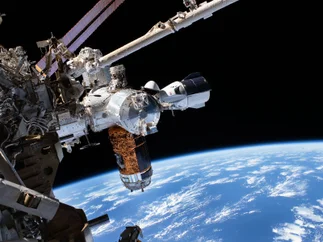 Científicos logran cultivar embriones de ratón en el espacio