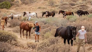 Nueva Zelanda busca voluntarios para cuidar animales y ofrece alojamiento gratis