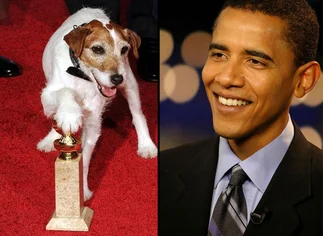 Toda una estrella: el perro de The Artist compartirá una cena con Barack Obama