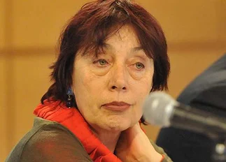 Morandini pidió tratar ahora el pliego sobre Milani porque 'es una situación anormal y grave'