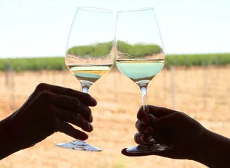 Recomiendan tomar una copa de vino al dí­a para 'protegerse' de la depresión