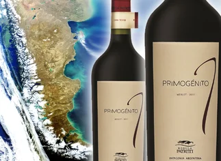 Con 'ADN' patagónico: Patritti lanzó al mercado la nueva añada de Primogénito Merlot