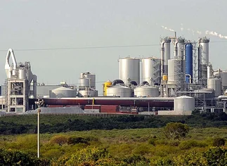 Uruguay prepara la instalación de otra pastera y Macri avisó que 'no van a existir inconvenientes'