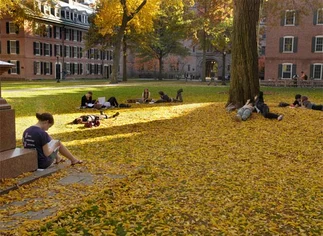 Yale recibió la donación más importante de sus 312 años de historia