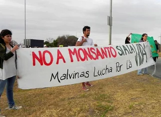 Monsanto: presentan un nuevo amparo para frenar la construcción de la planta procesadora