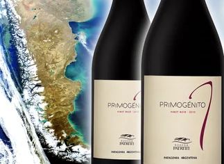 Desde la Patagonia, Patritti presenta una nueva añada de Primogénito Pinot Noir