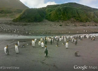 Google Street View llegó a las islas Malvinas