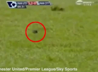 Invasión de ratones en el estadio del Manchester United