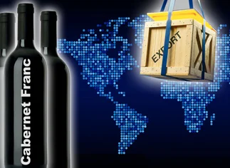 Cabernet Franc: pocas hectáreas, bajos volúmenes y la utopí­a de querer convertirlo en el 'sucesor' del Malbec