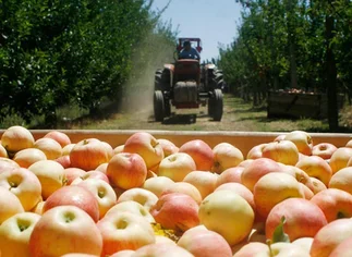 Productores 'ninguneados' por el Gobierno, amenazan con volver a las rutas