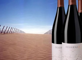 Update: Bodega del Desierto presentó la última añada de Desierto 25 Pinot Noir