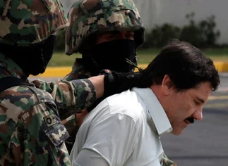 Giro inesperado: un mono llevó a la policí­a mexicana hasta el refugio de 'El Chapo'