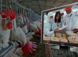 Insólito: la dueña de Cresta Roja ahora propone pagar salarios con pollos