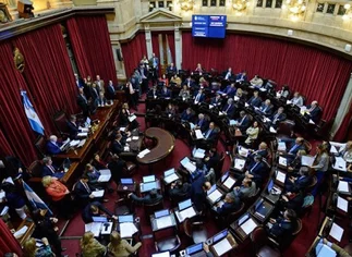 Votación express: el Senado autorizó el pliego de Cundom como nuevo jefe del Ejército
