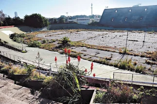 Tras más de 20 años de abandono, empezaron a demoler el Velódromo