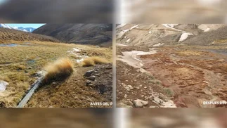 Una pericia concluyó que el derrame de cianuro 'serí­a mucho mayor' que el admitido por Barrick Gold