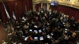 El Senado aprobó los pliegos de doce embajadores polí­ticos