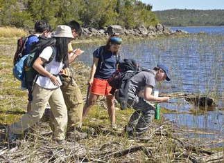 Bayer fomenta el interés de los jóvenes por la ciencia en un campamento internacional