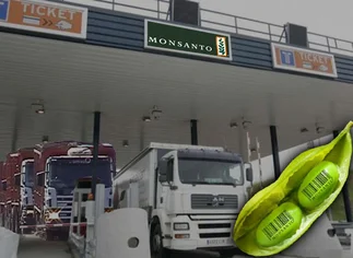 El Gobierno y la pelea por el 'copyright' entre sojeros y Monsanto: hay 1M de toneladas 'encanutadas'