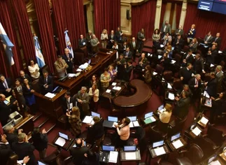 Arranca en el Senado el tratamiento de la ley del arrepentido y el de extinción de dominio