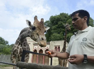 Larreta anunció que el Zoológico porteño se transformará en un ecoparque