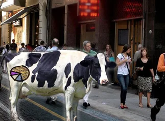 Los 'pooles de vacas' ganan terreno entre los inversores, tras medidas pro campo del macrismo