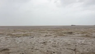 Video: el mar desapareció en Bahamas tras el paso de Irma