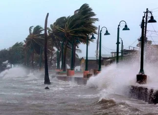 Refugiados en hoteles y en sus casas, familias argentinas esperan el paso del huracán Irma en Florida