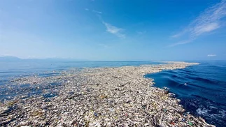 De paraí­so a basurero: imágenes estremecedoras del mar de plástico en el Caribe