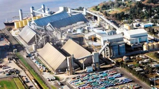 Los Pérez Companc invertirán u$s500 millones en una planta de soja en Timbúes