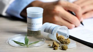 Farmacéutica del mercado de cannabis medicinal interesada en proyecto jujeño
