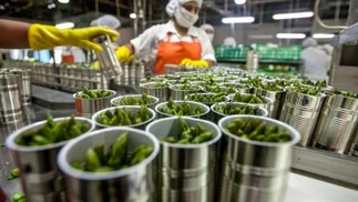 Reducción de las cargas patronales: los 47 sectores beneficiados