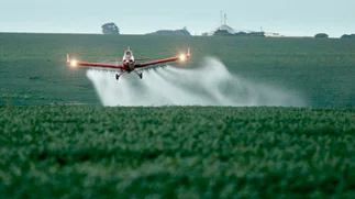 Fallo glifosato: limitan fumigaciones y empresarios se quejan por no poder producir