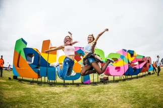 Lollapalooza 2020: furor por comprar las entradas
