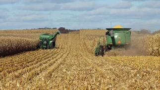 Argentina ya no está en el ranking de los 10 principales exportadores agrícolas