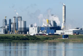 Revelador estudio: qué pasó con la papelera Botnia y la contaminación del río Uruguay
