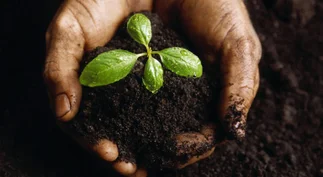 Día del Ingeniero Agrónomo: cómo surgió