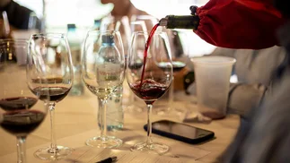10 mejores vinos argentinos del momento, según 100 enólogos