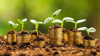 Fondos castigan el 'greenwashing' y el 'disfraz ecologista'