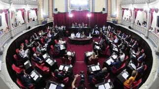 Senado bonaerense dio media sanción a reelección indefinida de legisladores provinciales