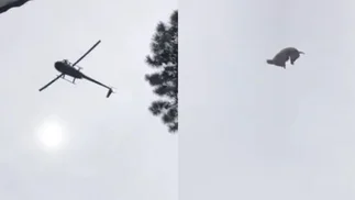 Dueño de Etiqueta Negra hizo a la parrilla el chancho tirado desde helicóptero
