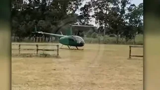 Se conoció un nuevo video del helicóptero que llevaba al cordero: 'Me muero'