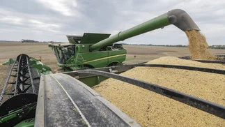 Acuerdo Argentina-EEUU: expectativas por reabrir exportaciones por u$s1.000 M