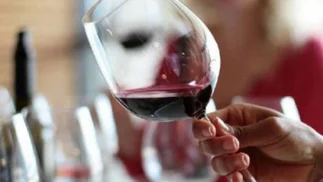 El mejor vino Malbec orgánico del mundo se vende a $ 2490