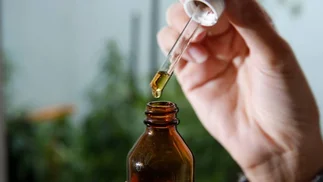 El largo camino hasta el cannabis farmacéutico