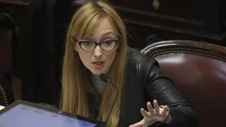 'Unión por la plata': el comentario que hizo viral a Fernández Sagasti en plena sesión