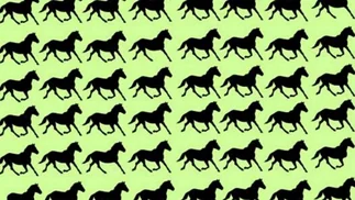 Cuántos caballos distintos hay: ¿podés resolverlo en 10 segundos?