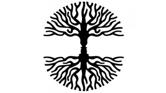 TEST del ARBOL: ¿qué tipo de energía tenés?
