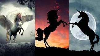 TEST del UNICORNIO: conocé tu lado espiritual